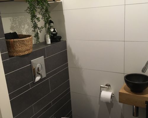 Toilet renoveren